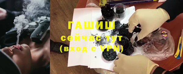 гашик Алексин