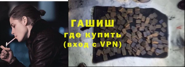 гашик Алексин