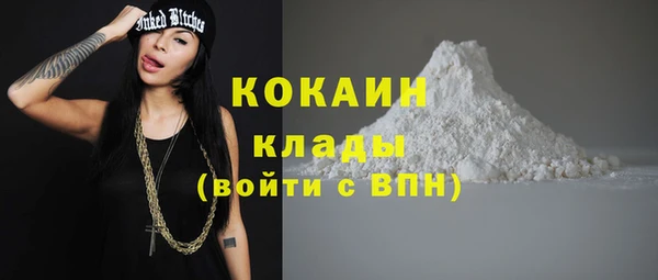 бошки Аркадак