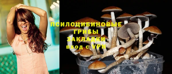 a pvp Алексеевка